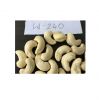 Rich in phosphorus, iron, and calcium low in carbohydrates CASHEW KERNEL WW240 WW320 WW450 kaju cashew nut