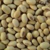 Soya beans