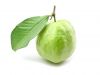 SWEET FRESH GUAVA FRUITS F