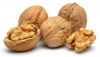 Hot selling walnut thin shell organic walnuts in shell supplies price