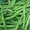 IQF Frozen green beans