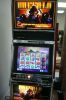 Aristocrat Buffalo Slot Machine Get