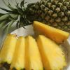 Best Quality Fresh Pineapples At Affordable Prices