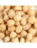 Cashew Nuts, Macademia Nuts, Almond Nuts, Betel Nuts