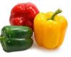 Fresh Capsicum, Green Capsicum , Red Capsicum , Yellow Capsicum for Sale