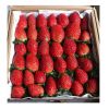 Natural and Organic Strawberry Fruit For Sale