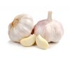 Fresh Garlic For Sale