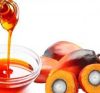 Palm oil