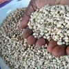 Quality Black Eyed Cowpea Beans