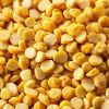 High Quality Organic Chana Dal / Chana Daal