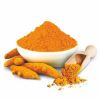 wholesale organic Tumeric root extract powder/radix curcumae extract