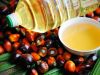 Palm Oil, Cooking Oil, CP 10, CP 8, CP 6