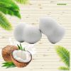 Wholesale Factory Price Coconut Fiber Carbon Biodegradable Beauty Sponge Soft BioBlender