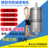 17.5 Kg Load Torque Brushless 2.2W 24V DC Motor Jga25-2418 Wholesale Can Customize