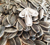 Chinese Black White Raw Quick Delivery of Sunflower Seeds Big