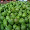 Best and Good Quality fresh Olives For Sale