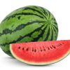 Fresh Water Melon