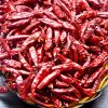 Best Selling paprika pepper dry red pepper hot peppers /fresh chilli red pepper wholesale