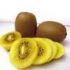 Fresh Kiwi Fruits