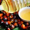 Refined And Crude Palm oil