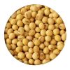 Soybean Grain and powder