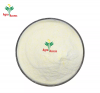 Skimmed Milk Powder