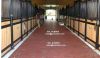 Sell horse barn paver, winner's circle paver, rubber paver