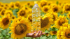 we sell  sunflower oil, palm oil, peanut butter