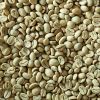 Raw Organic/Inorganic Premium Roasted Coffee Beans Ripe Red Maturity And Weight 0.5kg Coffee Bean