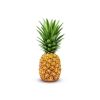 fresh pineapple for sale