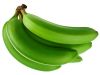 fresh green banana for sale worldwide