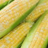 Corn