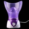 Buy Facial Steamer