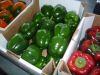 Fresh Capsicum Red, Yellow