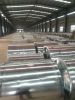 galvanized steel coils