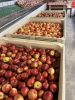 FRESH SWEETY APPLE SUPPLIERS