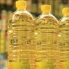 Sunflower Oil