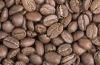 High quality Arabica Coffee Beans Exporter