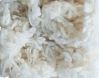 24-26 Micron Scoured Merino Wool