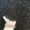 High quality Viet Nam pepper