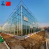 Glass greenhouse