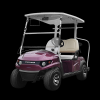 Twin Seater Golf Car