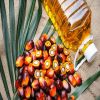 Rbd Palm Oil