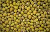 Bigger Size Cheap Top Quality Dried Green Mung Beans South African Price
