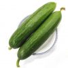 Export Organic Vegetables High quality Organic Fresh Cucumber