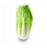 Best Factory Price of Natural Fresh Celery Cabbage Available In Large Quantity