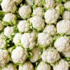 Fresh Cauliflower