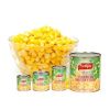 Top Quality Canned Sweet Corn Canned Corn Kernels Canned Corn Factory Price canned vegetables