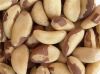 High quality natural Brazil nuts