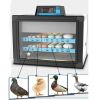 CY-160 chicken duck goose quail eggs incubator machine automatic cheap egg incubators hatcher automatic ostrich egg incubators